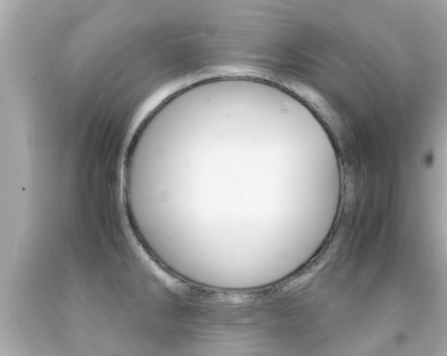 X0000091861286200709050949