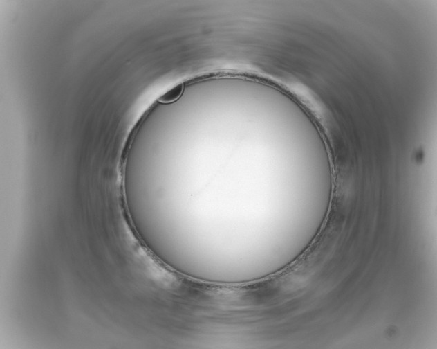 X0000091861287200709050949
