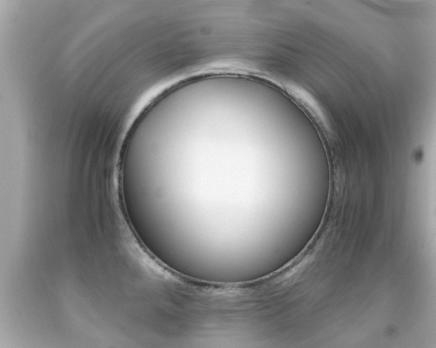 X0000091861288200709050949