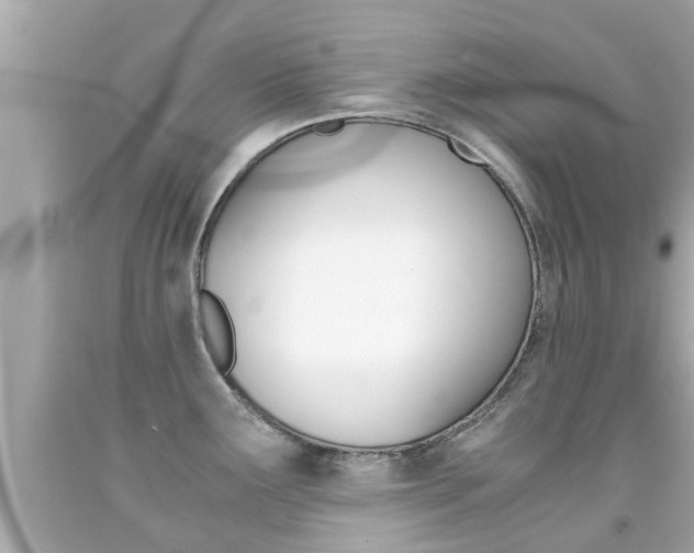 X0000091861291200709050949