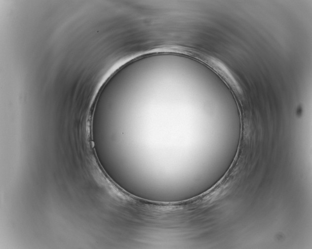 X0000091861292200709050949