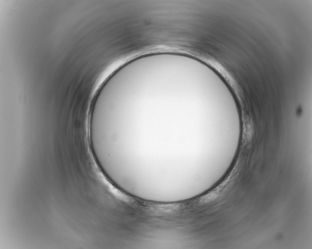 X0000091861294200709050949