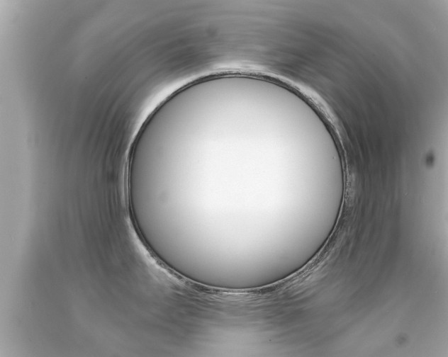 X0000091861295200709050949