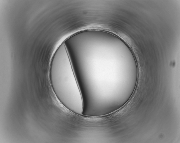 X0000091861296200709050949