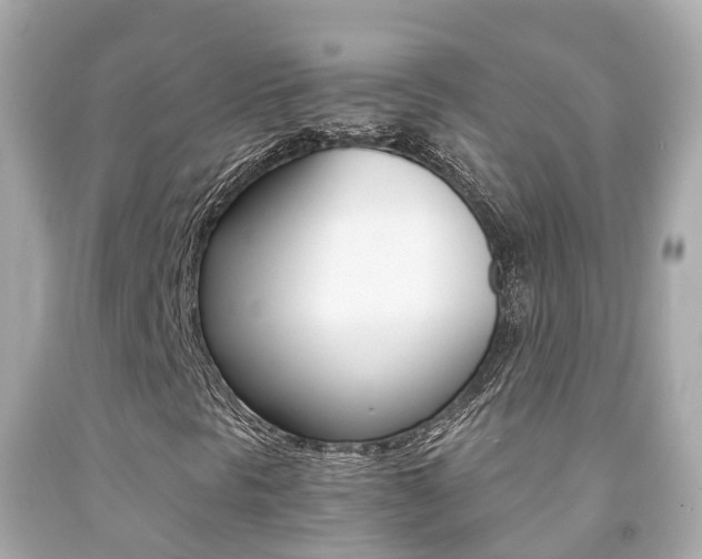 X0000091861297200709050948