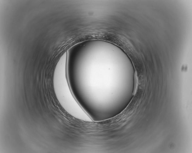 X0000091861298200709050948
