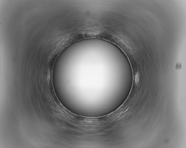 X0000091861299200709050948