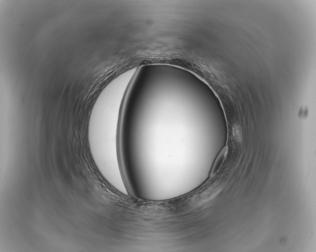 X0000091861300200709050948