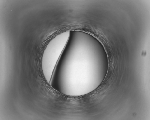 X0000091861301200709050948