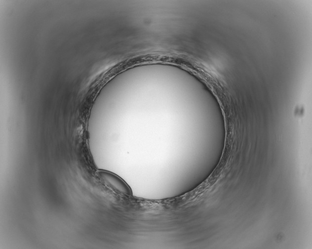 X0000091861302200709050948