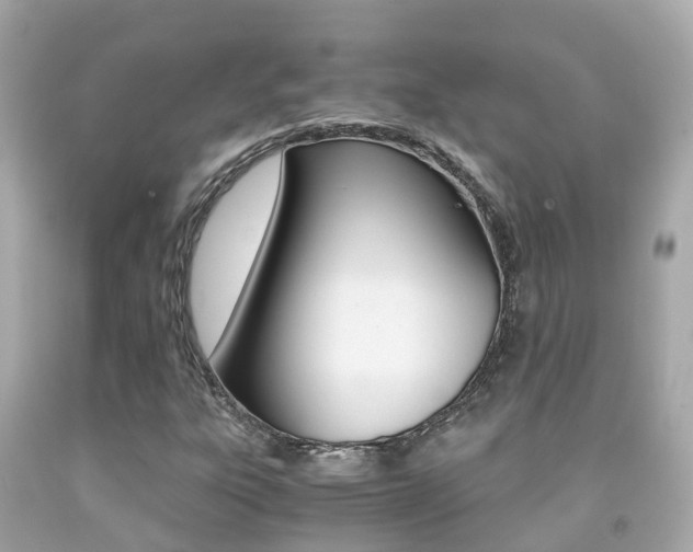 X0000091861303200709050948