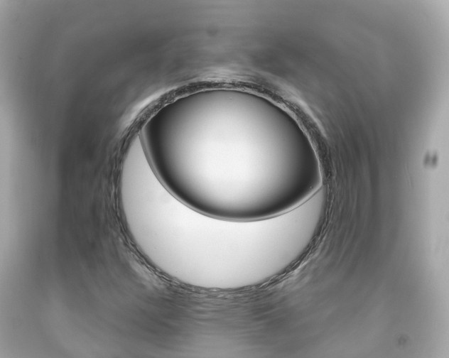 X0000091861304200709050948