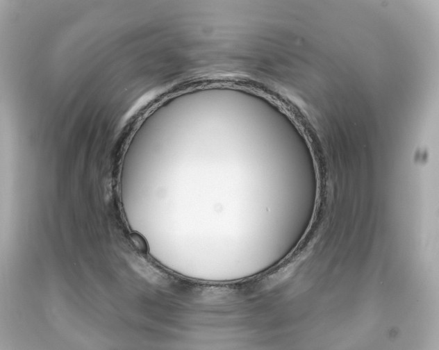X0000091861306200709050948