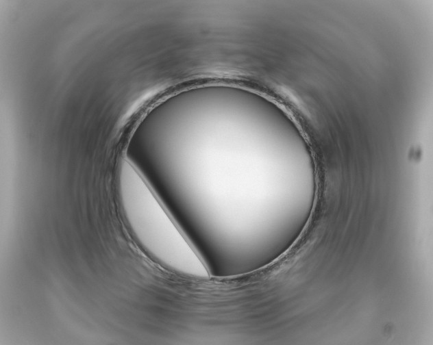 X0000091861307200709050948