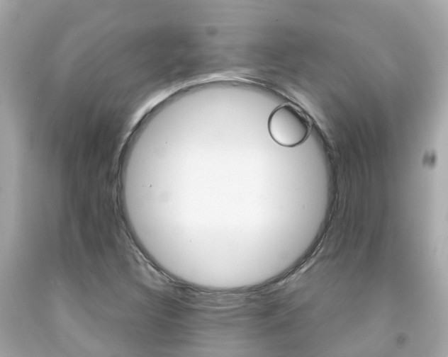 X0000091861308200709050948