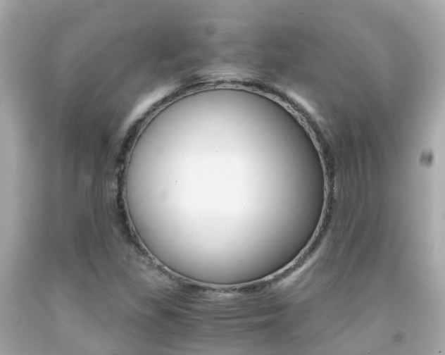 X0000091861309200709050948