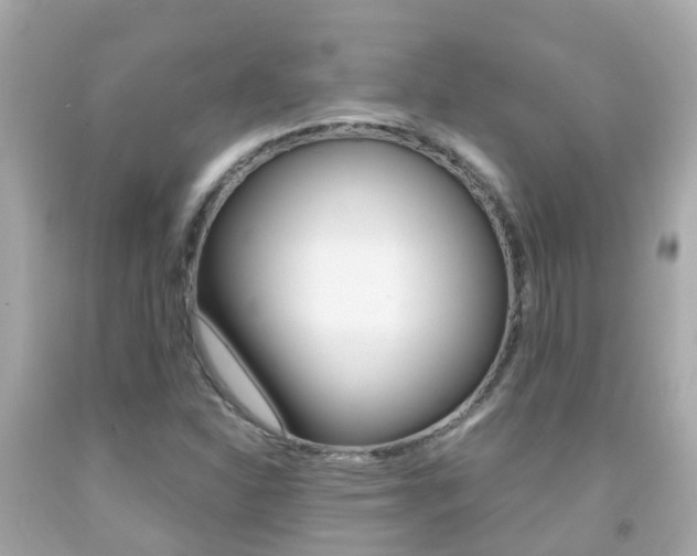 X0000091861310200709050948