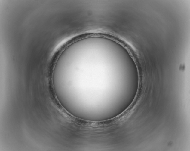 X0000091861311200709050948