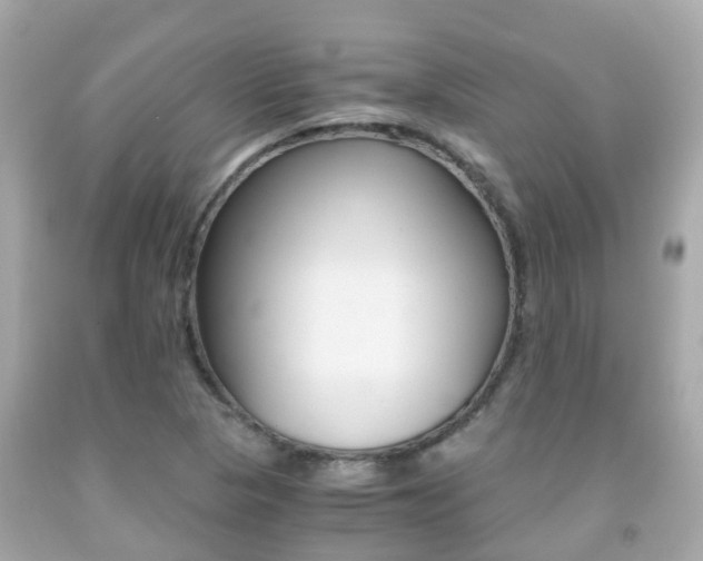 X0000091861313200709050948