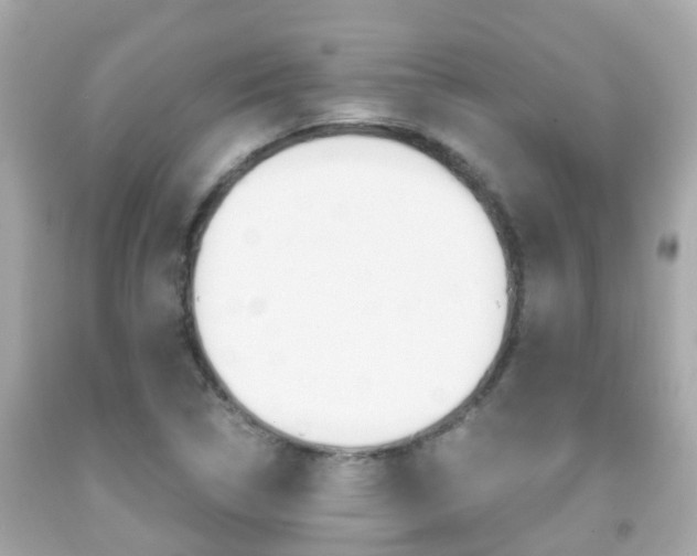 X0000091861314200709050948