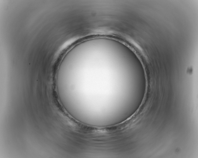 X0000091861315200709050948