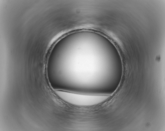 X0000091861316200709050948