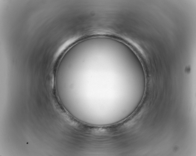 X0000091861317200709050948