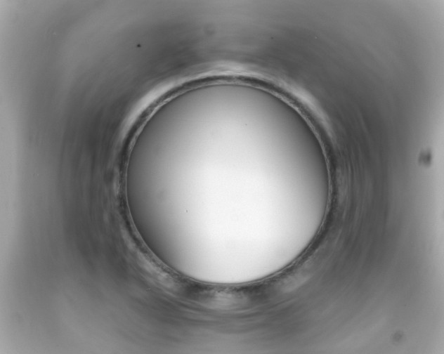X0000091861318200709050948