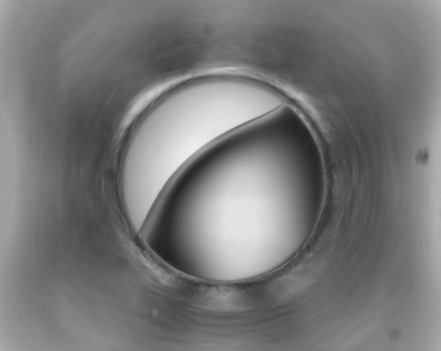 X0000091861319200709050948