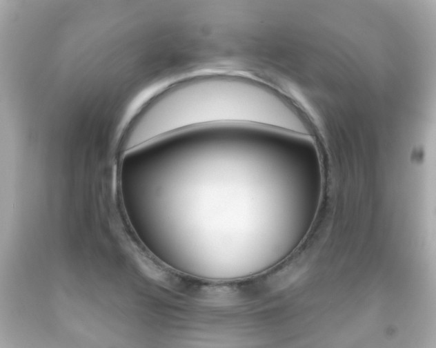 X0000091861320200709050948