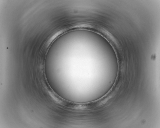 X0000091861321200709050948