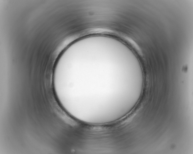 X0000091861322200709050948
