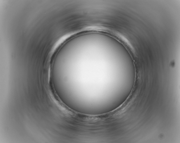 X0000091861323200709050948