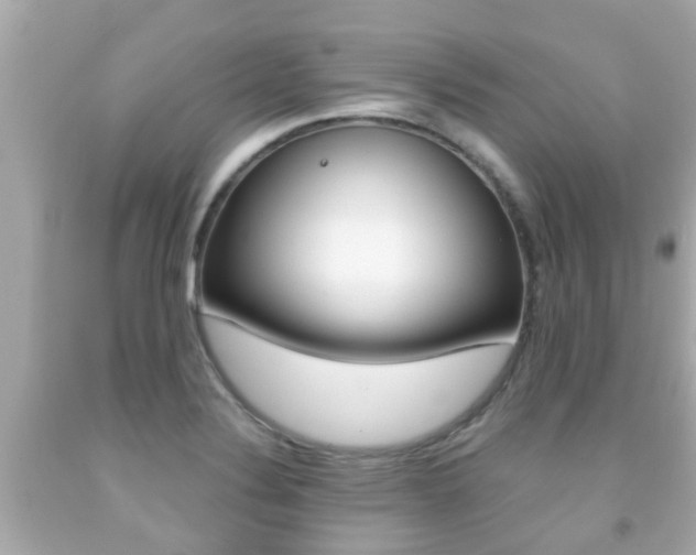 X0000091861324200709050948