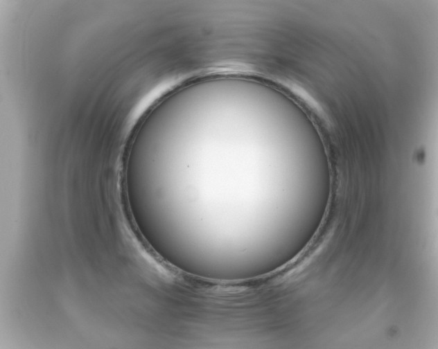 X0000091861325200709050948