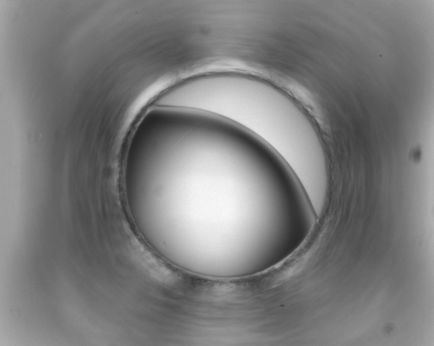 X0000091861326200709050949