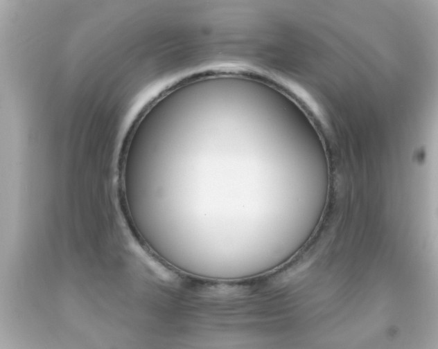 X0000091861327200709050949