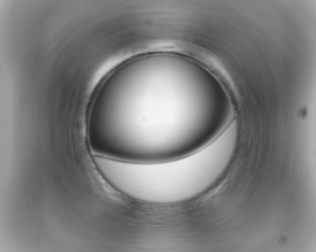 X0000091861328200709050949