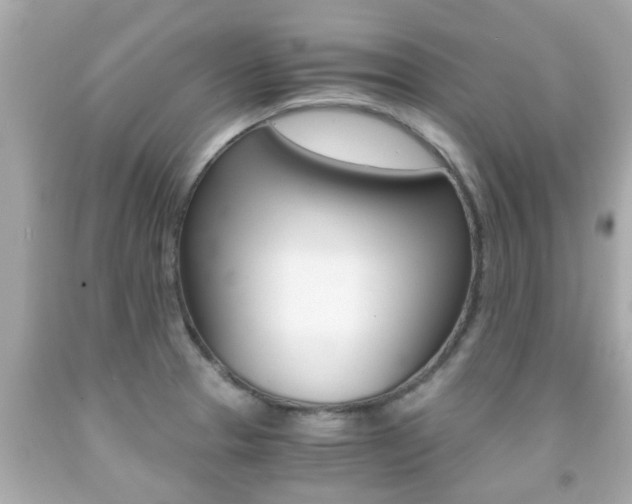 X0000091861329200709050949