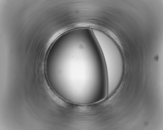X0000091861330200709050949
