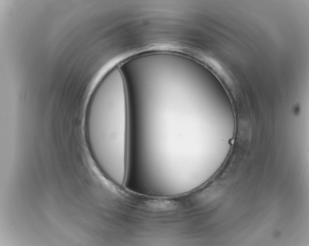 X0000091861331200709050949