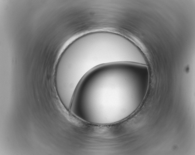 X0000091861332200709050949