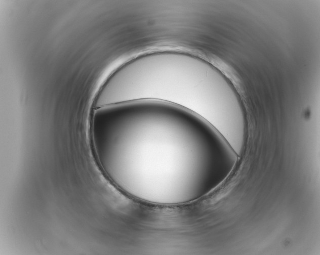 X0000091861334200709050949