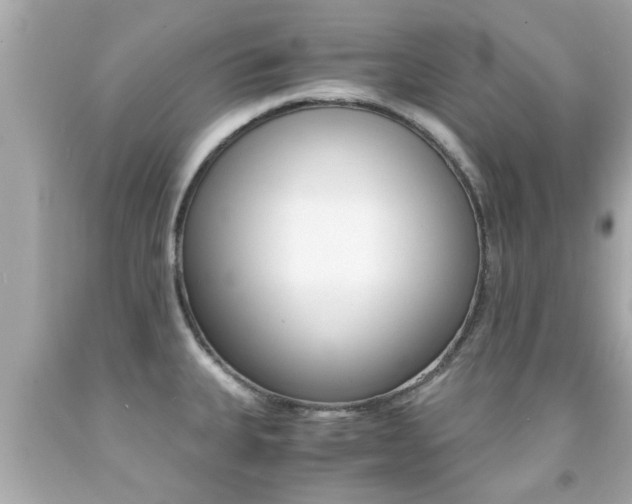 X0000091861335200709050949