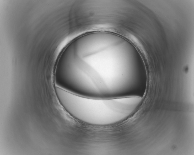 X0000091861336200709050949