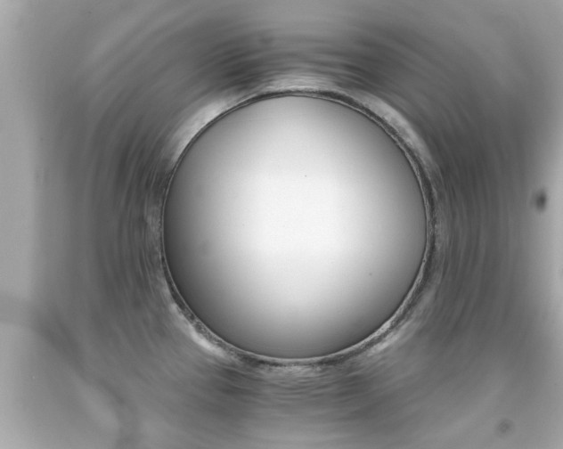 X0000091861337200709050949