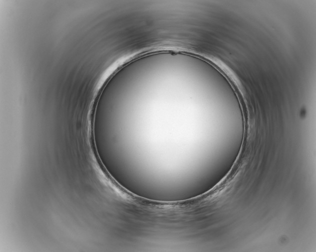 X0000091861341200709050949