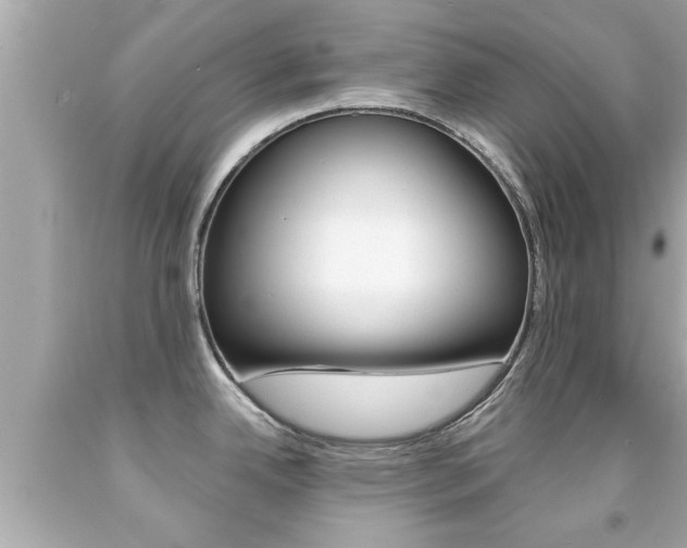 X0000091861342200709050949