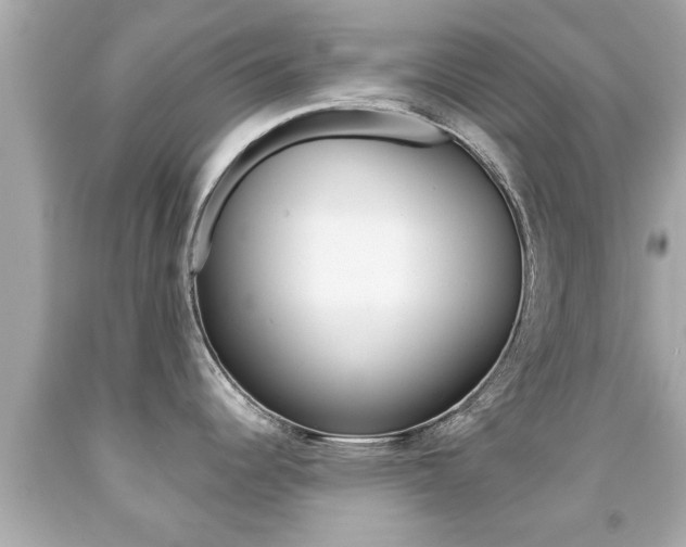 X0000091861344200709050949