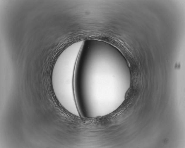 X0000091861345200709050948